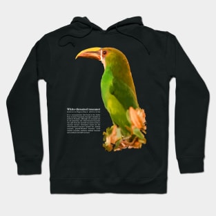 White-throated toucanet tropical bird on top of a tree white text Hoodie